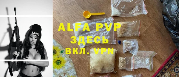 дмт Сатка
