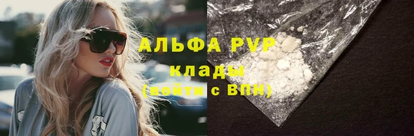 сатива Абинск